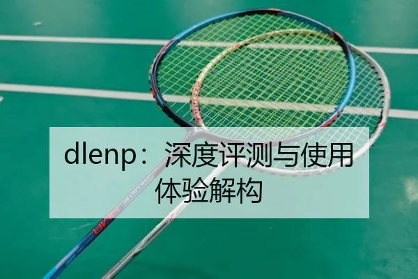 dlenp：深度评测与使用体验解构